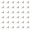 Cute robin bird seamless pattern. Sketch robin in pastel grey, orange colour